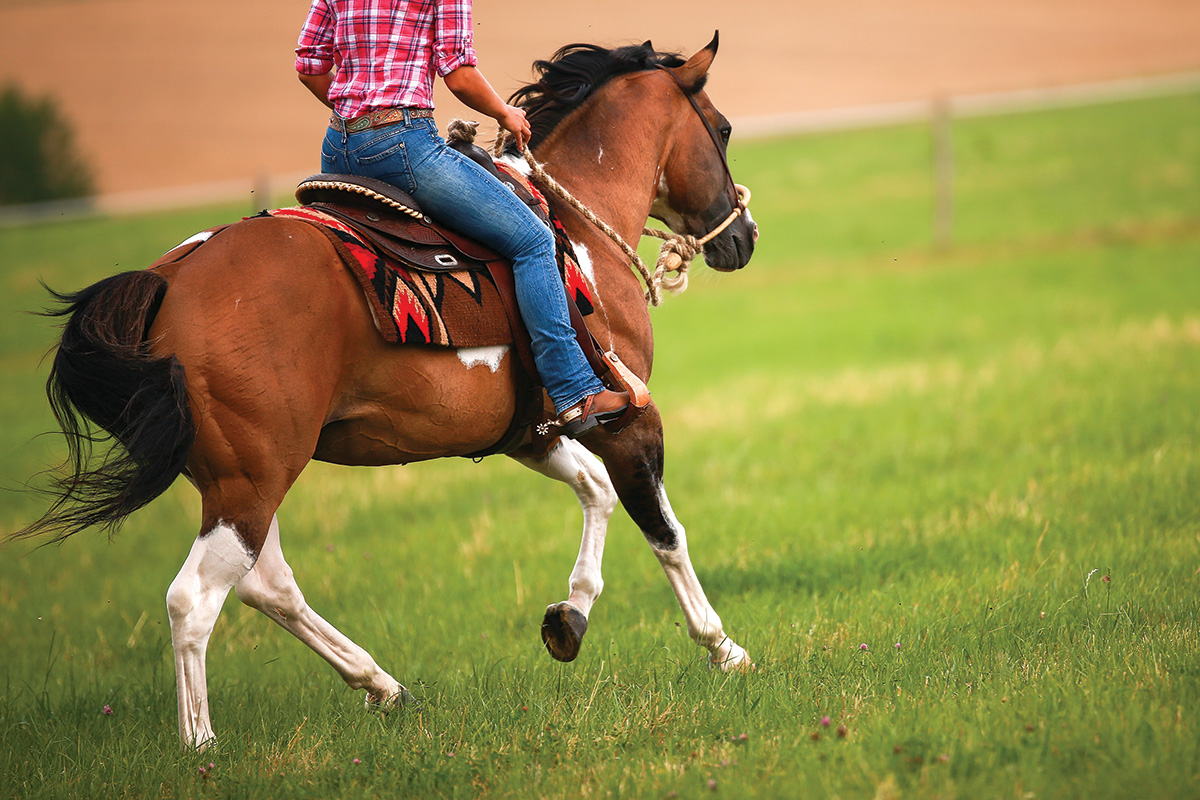Un Paint Tobiano corriendo por un campo